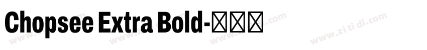 Chopsee Extra Bold字体转换